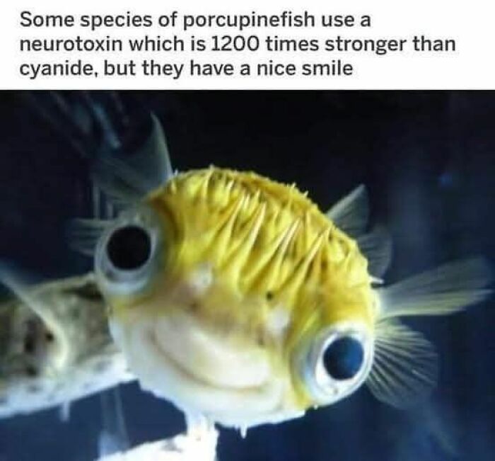 The 47 Funniest Science Memes That Nerds And Goofballs Will Both Love