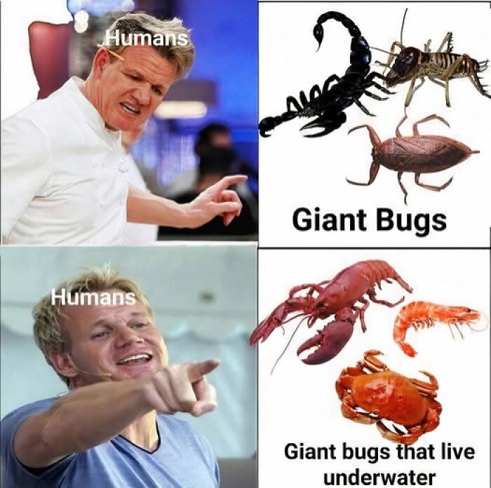 The 47 Funniest Science Memes That Nerds And Goofballs Will Both Love