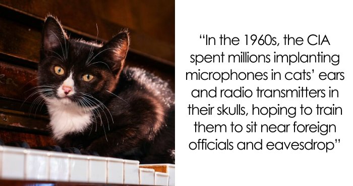 45 Wild Facts That Are Too Weird Not to Share