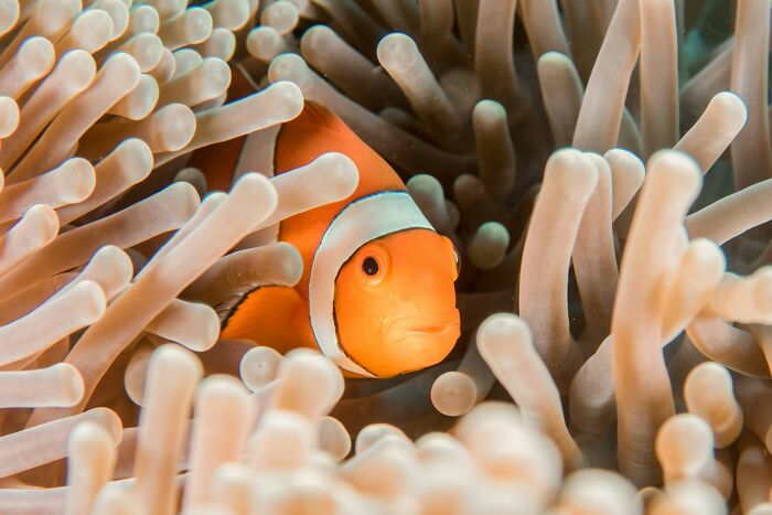 45 Wild Facts That Are Too Weird Not to Share