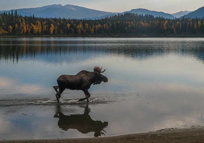 45 Wild Facts That Are Too Weird Not to Share