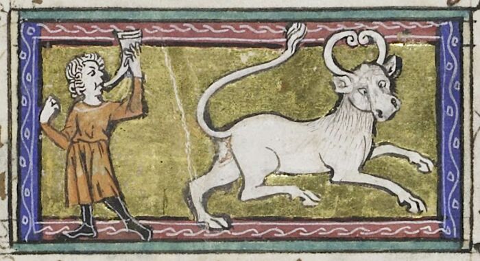 45 Wild Facts That Are Too Weird Not to Share
