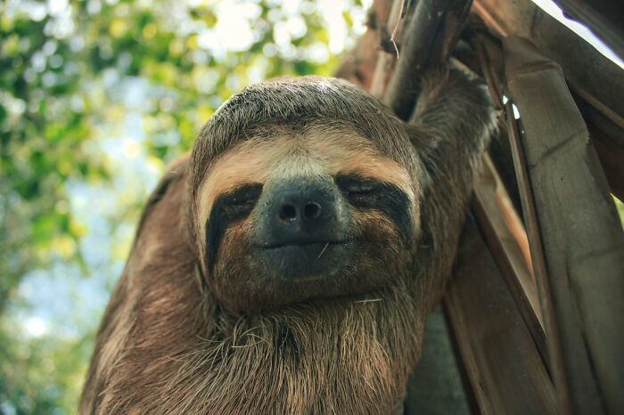 45 Wild Facts That Are Too Weird Not to Share