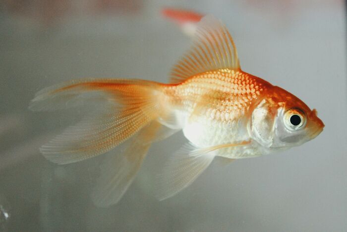 45 Wild Facts That Are Too Weird Not to Share
