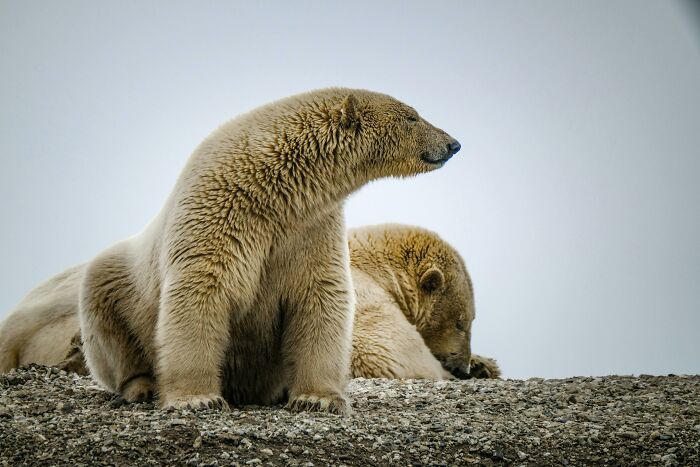 45 Wild Facts That Are Too Weird Not to Share