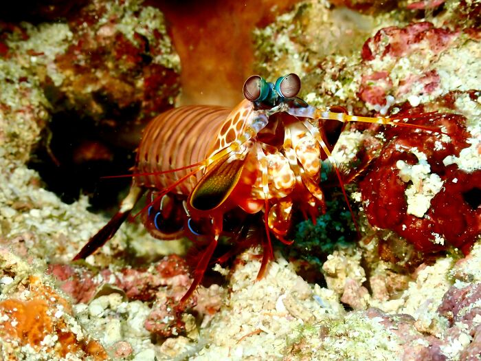 45 Wild Facts That Are Too Weird Not to Share