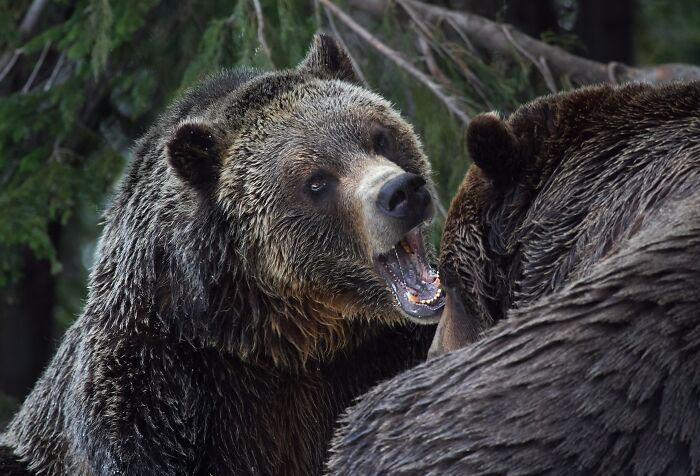 45 Wild Facts That Are Too Weird Not to Share