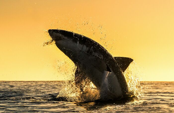 45 Wild Facts That Are Too Weird Not to Share