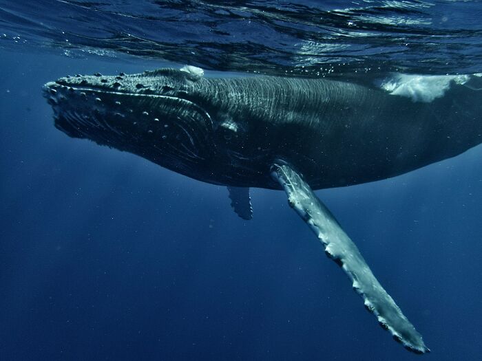 45 Wild Facts That Are Too Weird Not to Share