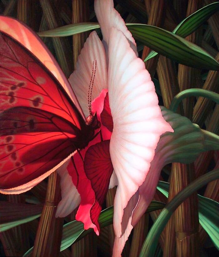 Butterfly And Orchid