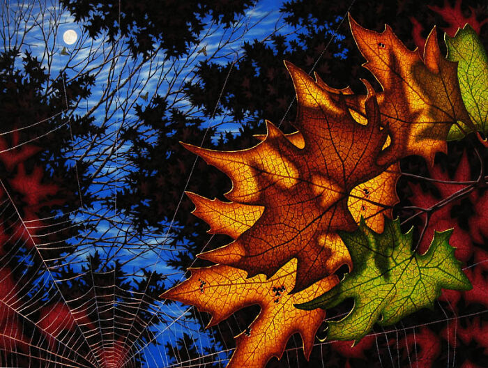 Leaf Shadows