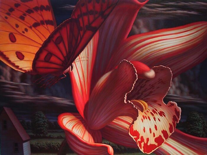 Cymbidium And Butterfly