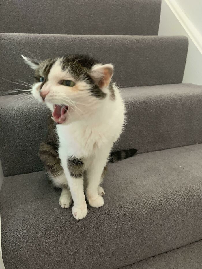 19-Year-Old Kerry Still Yells Like a Pro from Her Stair Throne