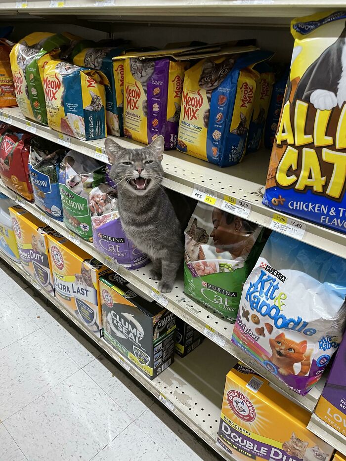 Yelling at Grocery Stores Like It’s a Sport