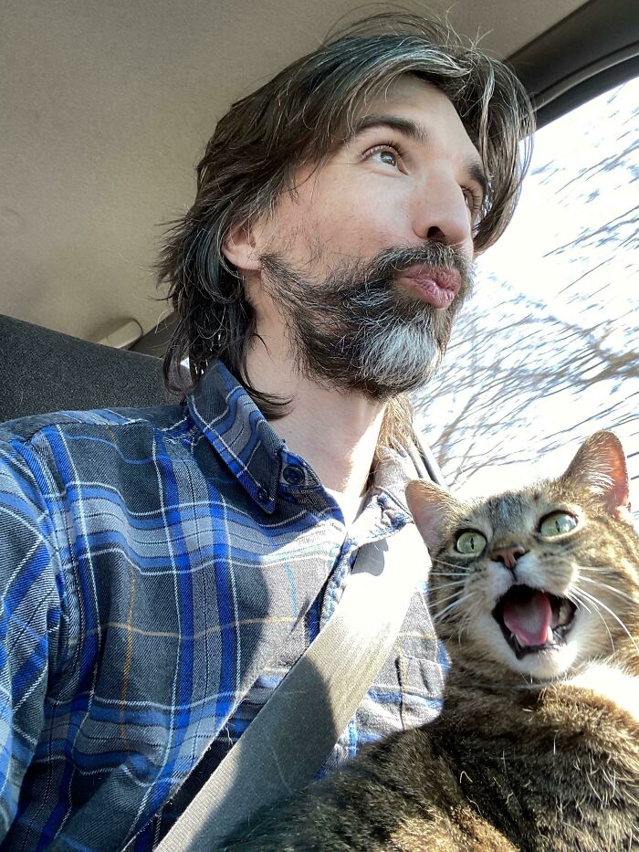 Let's Rank The Loudest Cats Who Totally Nail The Art of Yelling