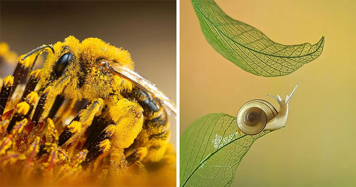 55 Tiny Details You Won’t Believe Exist Until You Zoom In