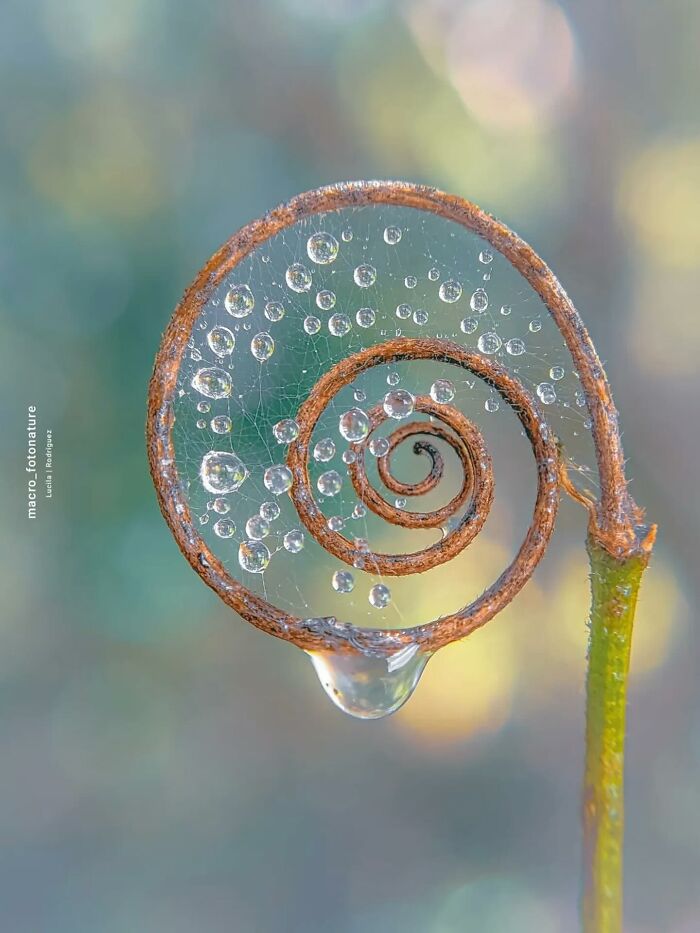 55 Tiny Details You Won't Believe Exist Until You Zoom In