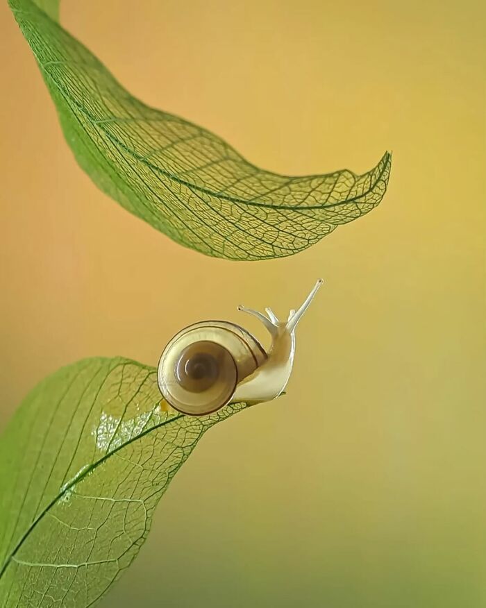 55 Tiny Details You Won't Believe Exist Until You Zoom In