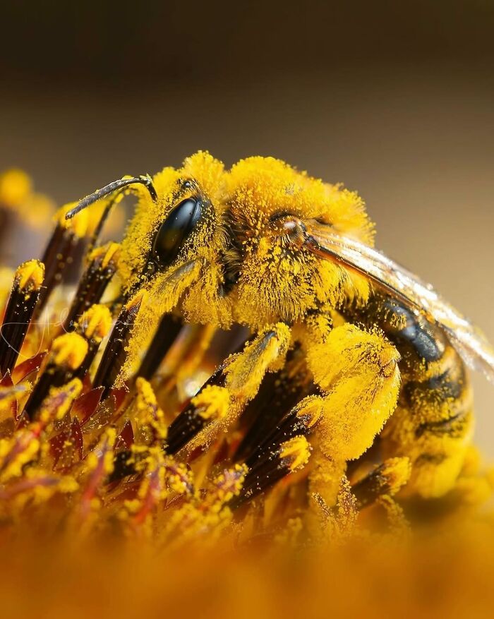 55 Tiny Details You Won't Believe Exist Until You Zoom In