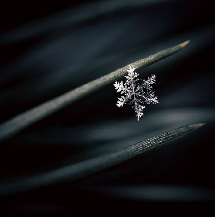 55 Tiny Details You Won't Believe Exist Until You Zoom In
