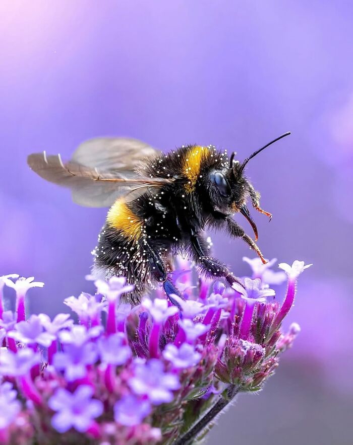 55 Tiny Details You Won't Believe Exist Until You Zoom In