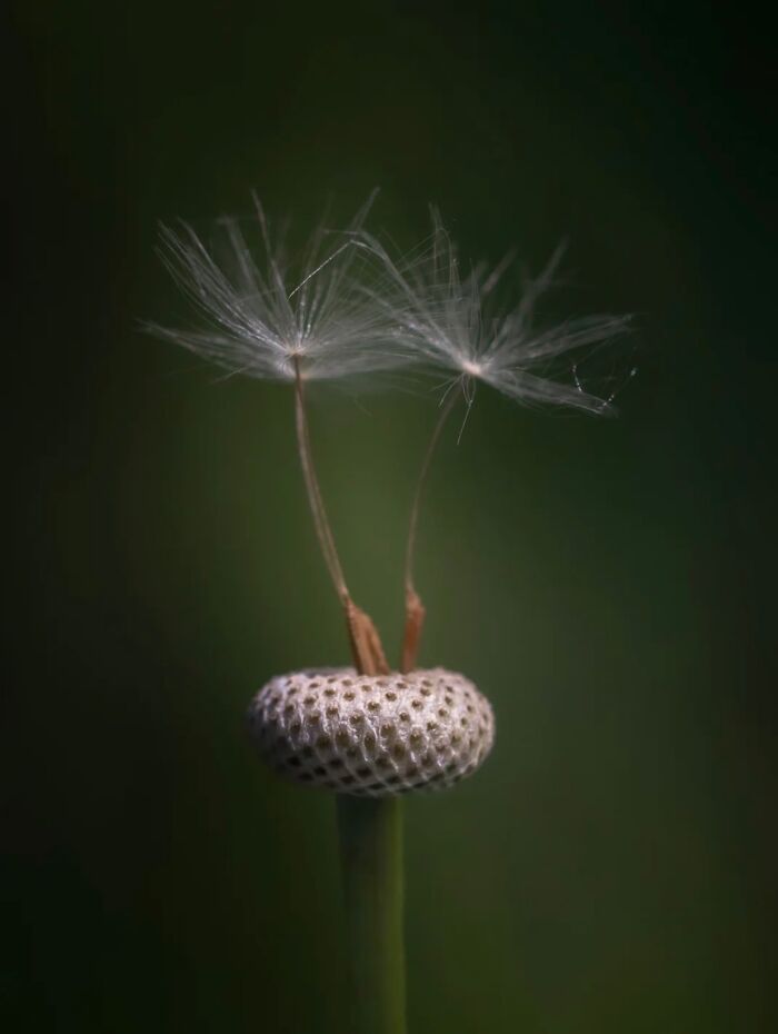 55 Tiny Details You Won't Believe Exist Until You Zoom In