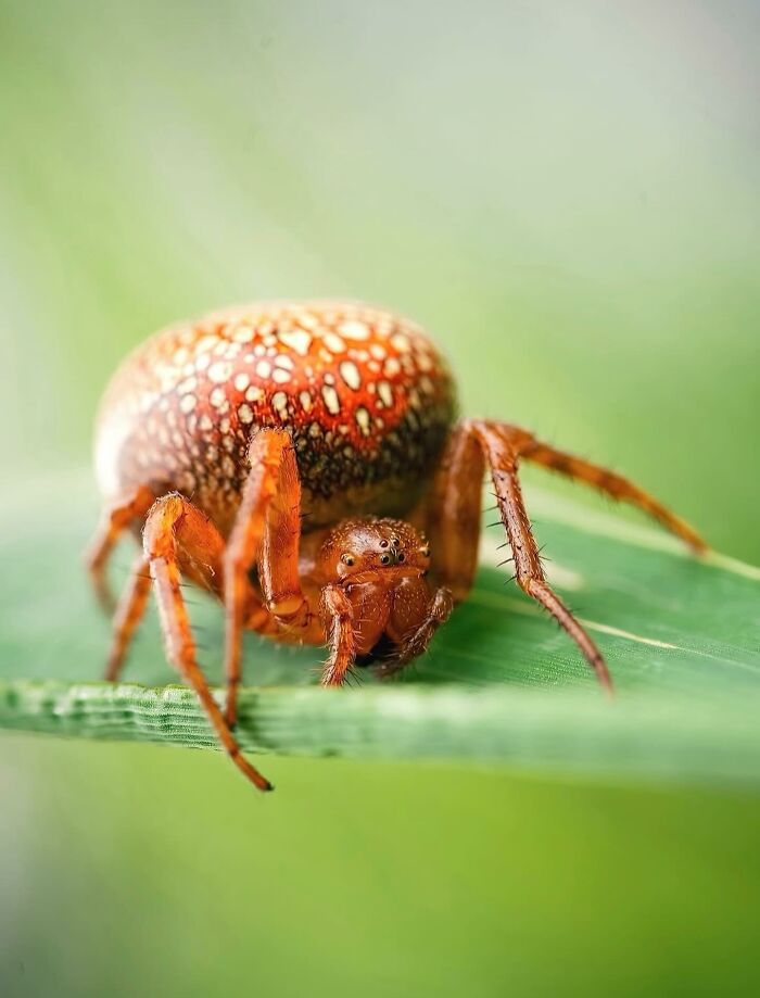 55 Tiny Details You Won't Believe Exist Until You Zoom In