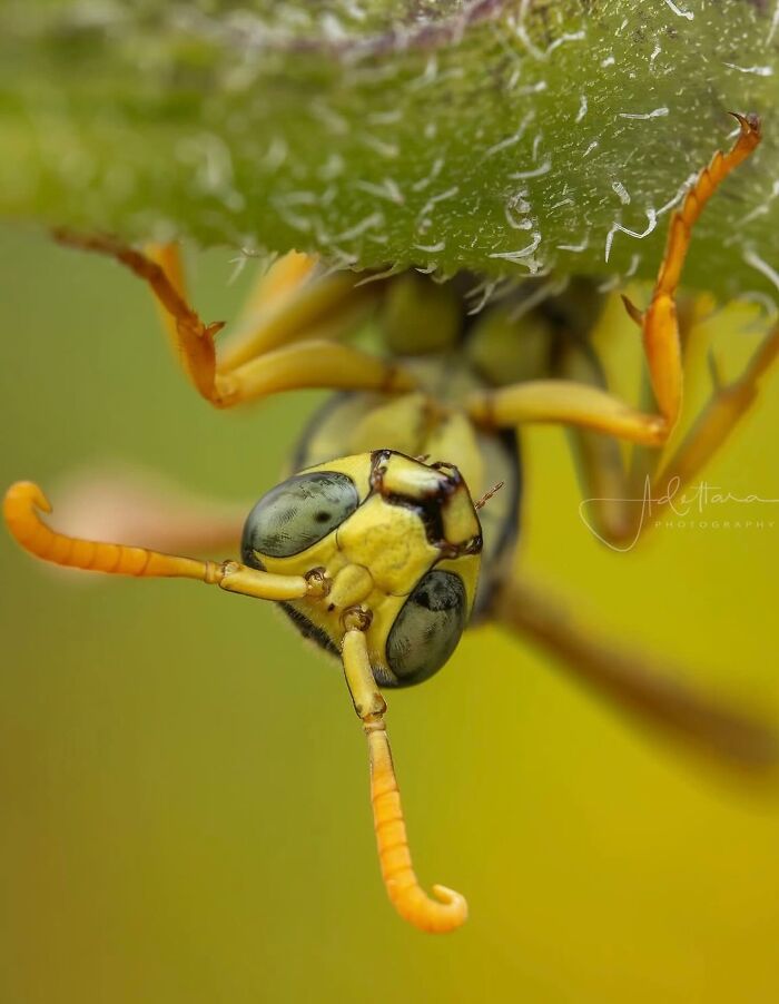 55 Tiny Details You Won't Believe Exist Until You Zoom In