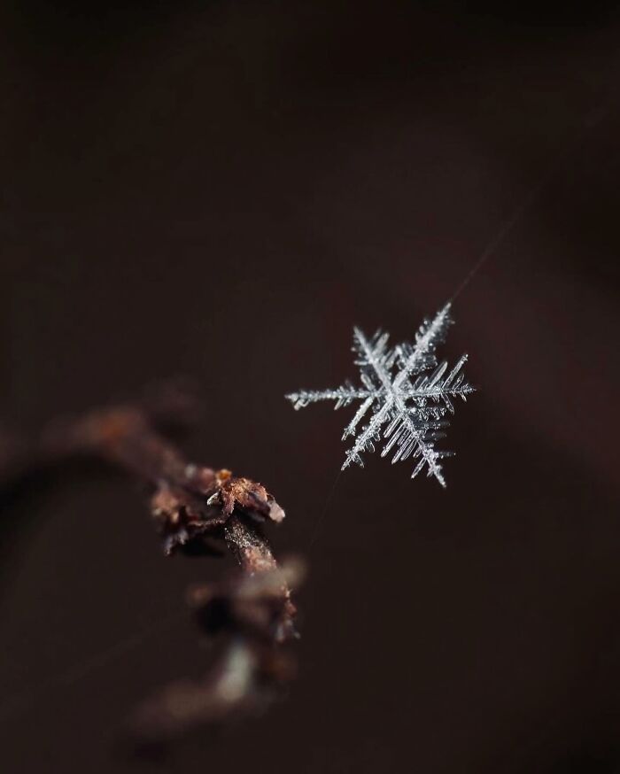 55 Tiny Details You Won't Believe Exist Until You Zoom In