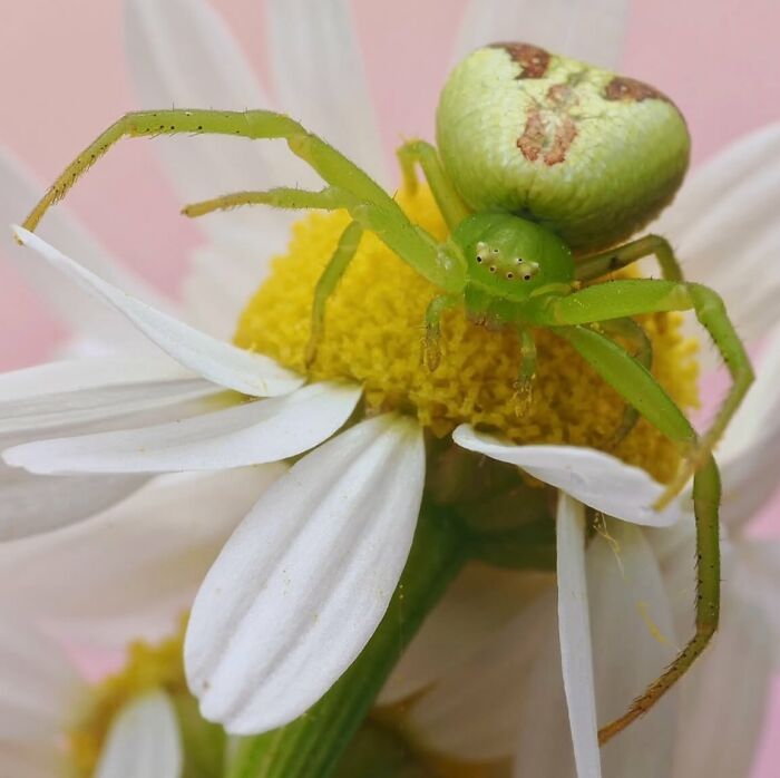 55 Tiny Details You Won't Believe Exist Until You Zoom In