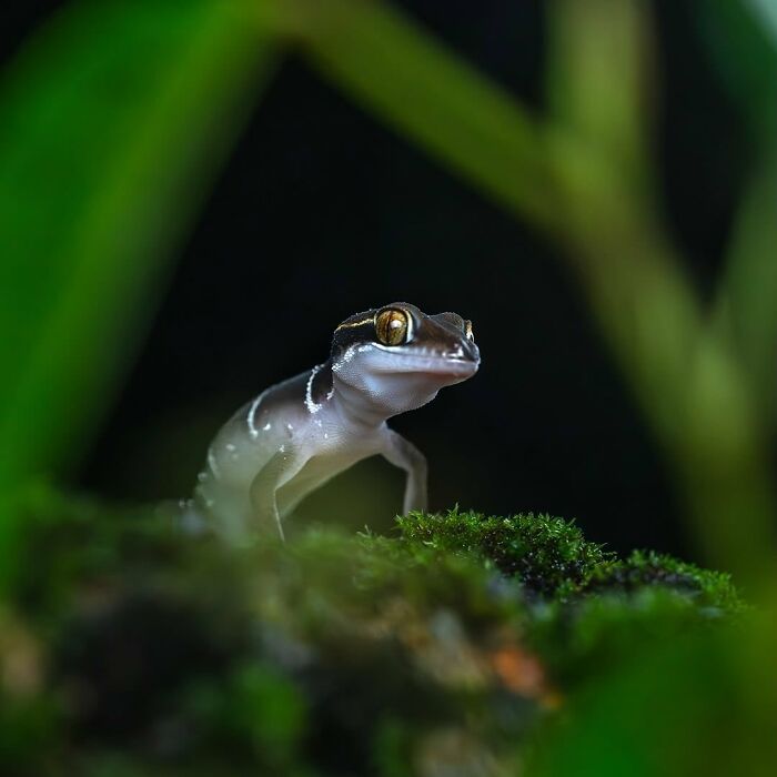 55 Tiny Details You Won't Believe Exist Until You Zoom In