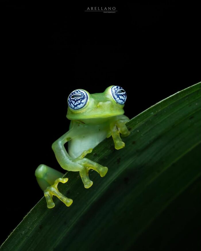 55 Tiny Details You Won't Believe Exist Until You Zoom In