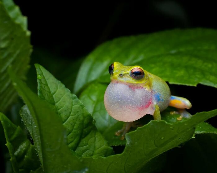 55 Tiny Details You Won't Believe Exist Until You Zoom In