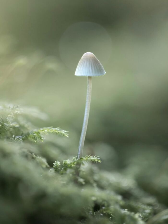 55 Tiny Details You Won't Believe Exist Until You Zoom In