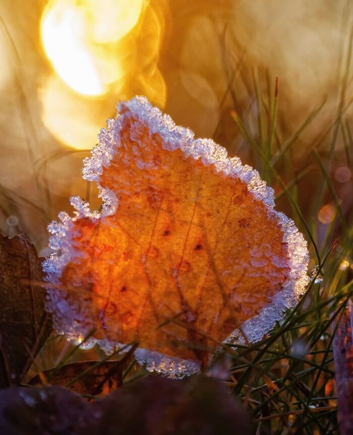 55 Tiny Details You Won't Believe Exist Until You Zoom In