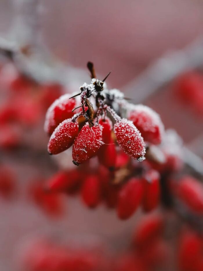 55 Tiny Details You Won't Believe Exist Until You Zoom In