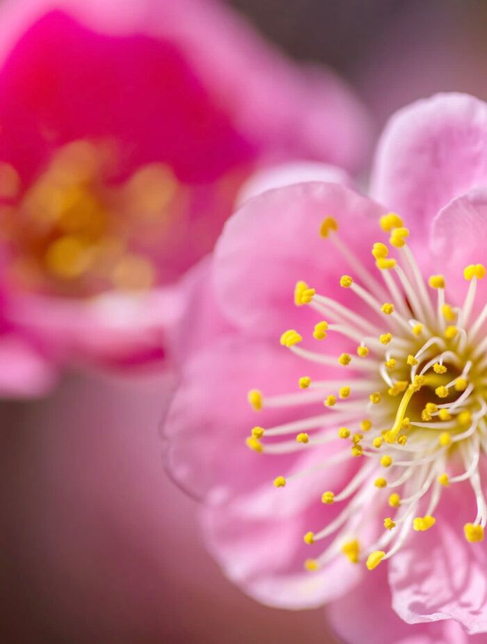 55 Tiny Details You Won't Believe Exist Until You Zoom In