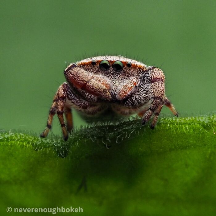 55 Tiny Details You Won't Believe Exist Until You Zoom In