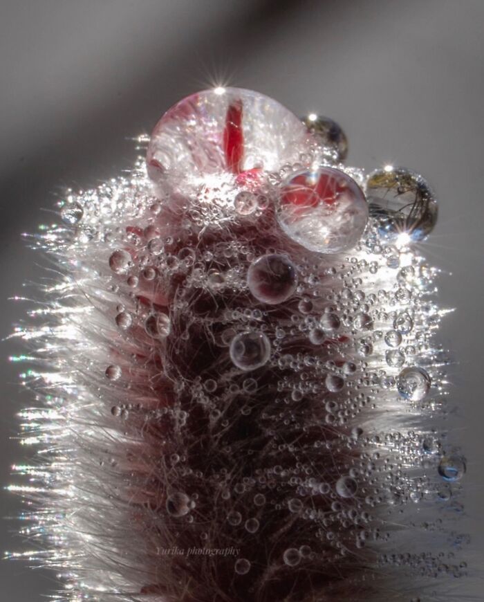 55 Tiny Details You Won't Believe Exist Until You Zoom In