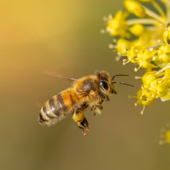 55 Tiny Details You Won't Believe Exist Until You Zoom In