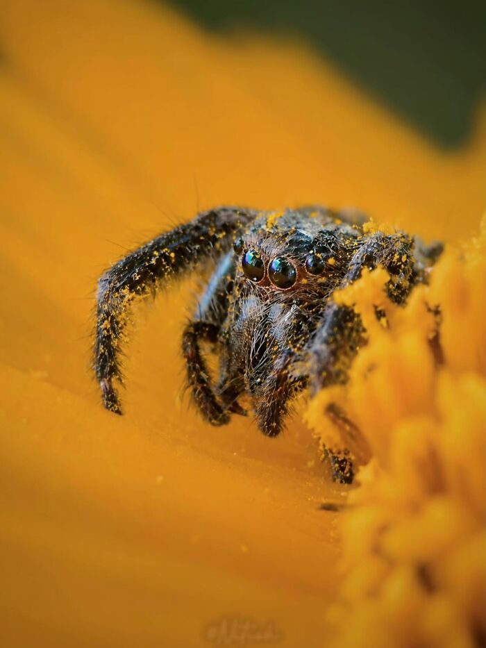 55 Tiny Details You Won't Believe Exist Until You Zoom In