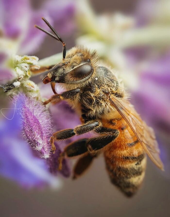 55 Tiny Details You Won't Believe Exist Until You Zoom In