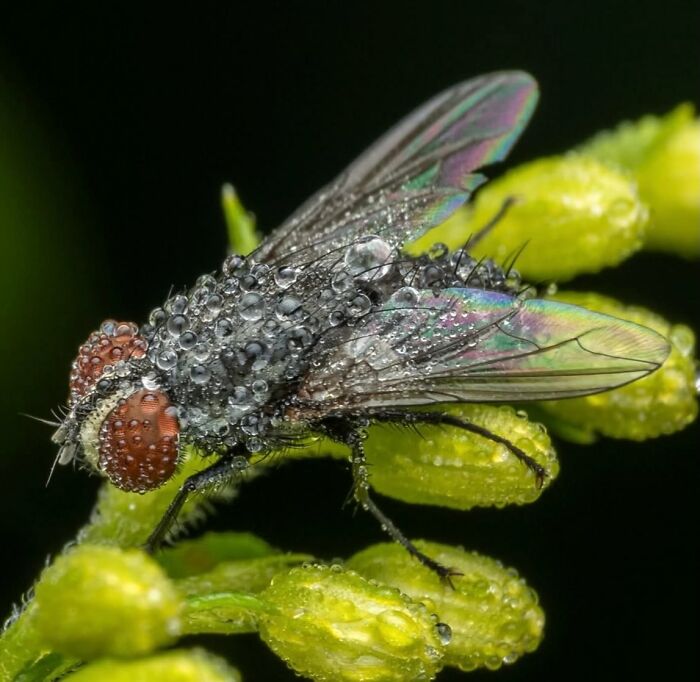 55 Tiny Details You Won't Believe Exist Until You Zoom In