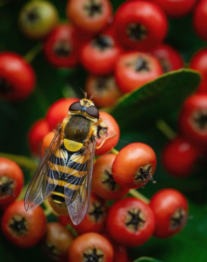 55 Tiny Details You Won't Believe Exist Until You Zoom In