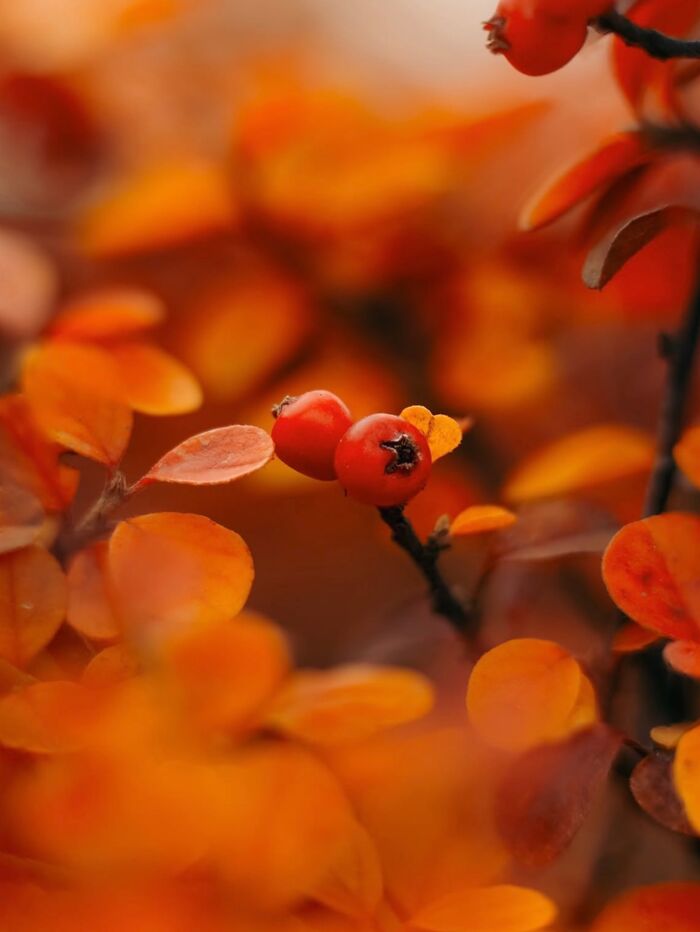 55 Tiny Details You Won't Believe Exist Until You Zoom In