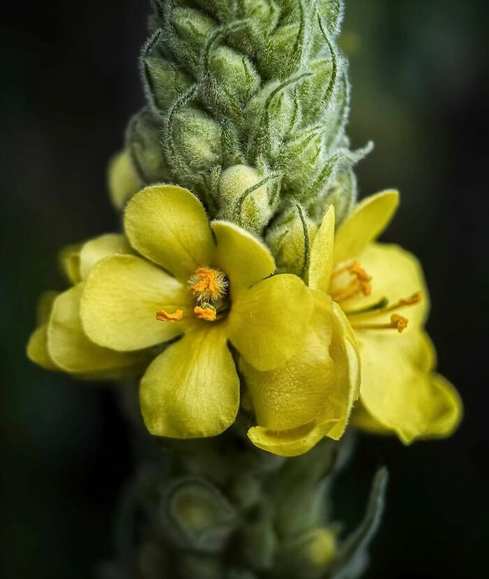 55 Tiny Details You Won't Believe Exist Until You Zoom In