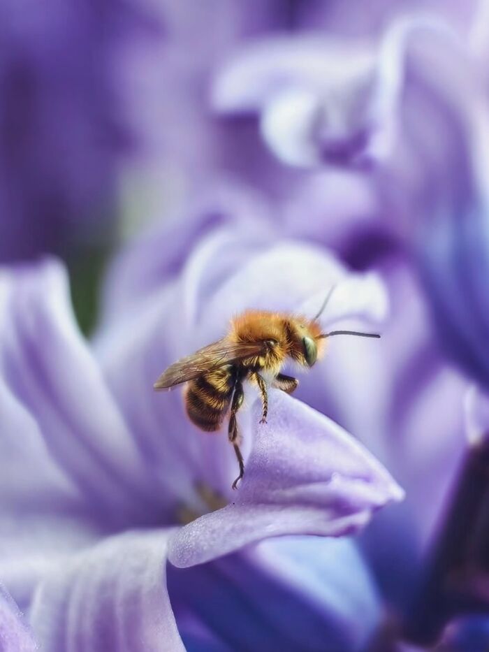 55 Tiny Details You Won't Believe Exist Until You Zoom In