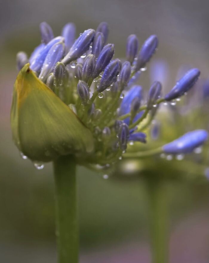 55 Tiny Details You Won't Believe Exist Until You Zoom In