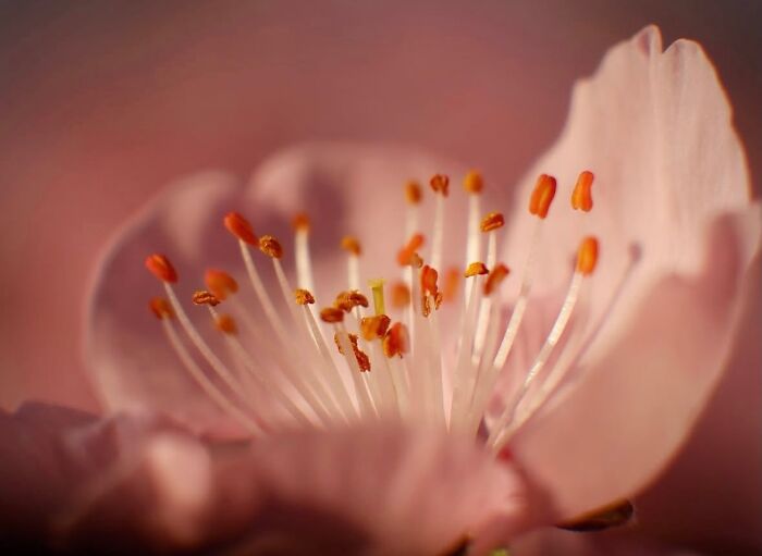 55 Tiny Details You Won't Believe Exist Until You Zoom In