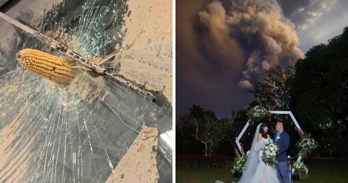 Wait, They Actually Survived These Wild Nature Moments?